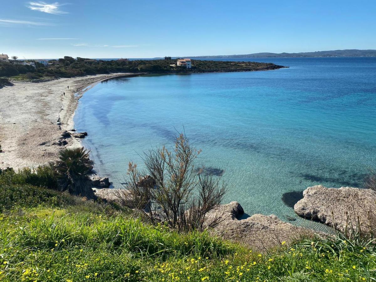 I Fenicotteri - Appartamenti Sul Mare Calasetta Exteriér fotografie